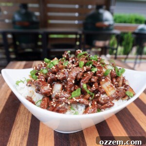 A bowl of spicy teriyaki beef served with rice.