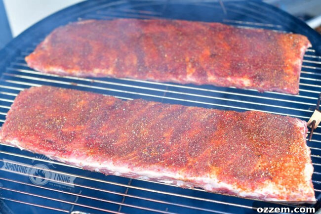 Two racks of St. Louis ribs, coated in dry rub, perfectly placed on the smoker grates, ready for their long smoke.