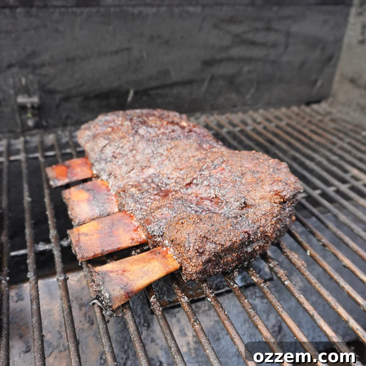 Succulent Smoked Beef Short Ribs 5 Beef short ribs smoking on a pellet grill, surrounded by a gentle plume of smoke.