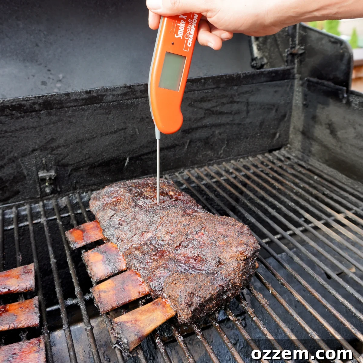 Succulent Smoked Beef Short Ribs 6 A thermometer probe inserted into smoked beef short ribs to check internal temperature.