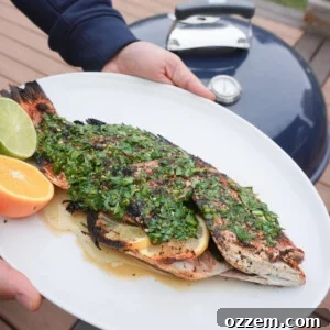 Grilled red snapper in a homemade citrus chimichurri.
