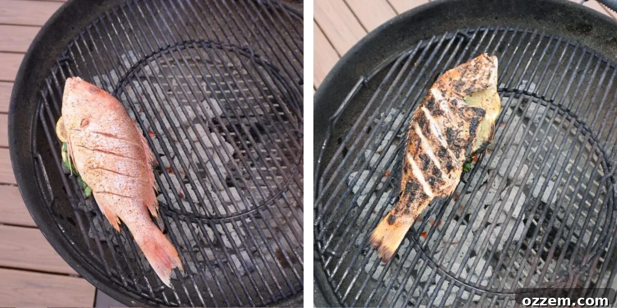 Flame-Kissed Red Snapper 7 Grilled red snapper on the grill. One side perfectly cooked, the other just beginning.