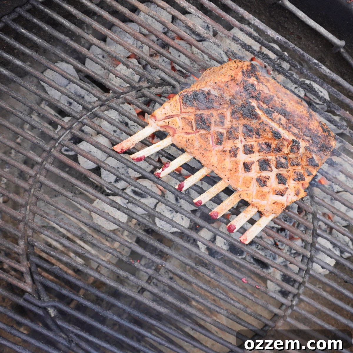 grilled rack of lamb over direct heat on the grill, showing a beautiful sear developing.
