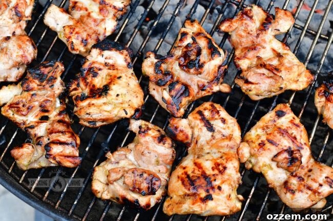 Zesty Grilled Ginger Lime Chicken Thighs 6 Freshly cooked, perfectly charred chicken thighs resting on the grill grate, ready to be served