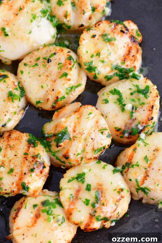 Close-up of perfectly grilled scallops adorned with melted herb butter and fresh parsley, resting on a serving plate.