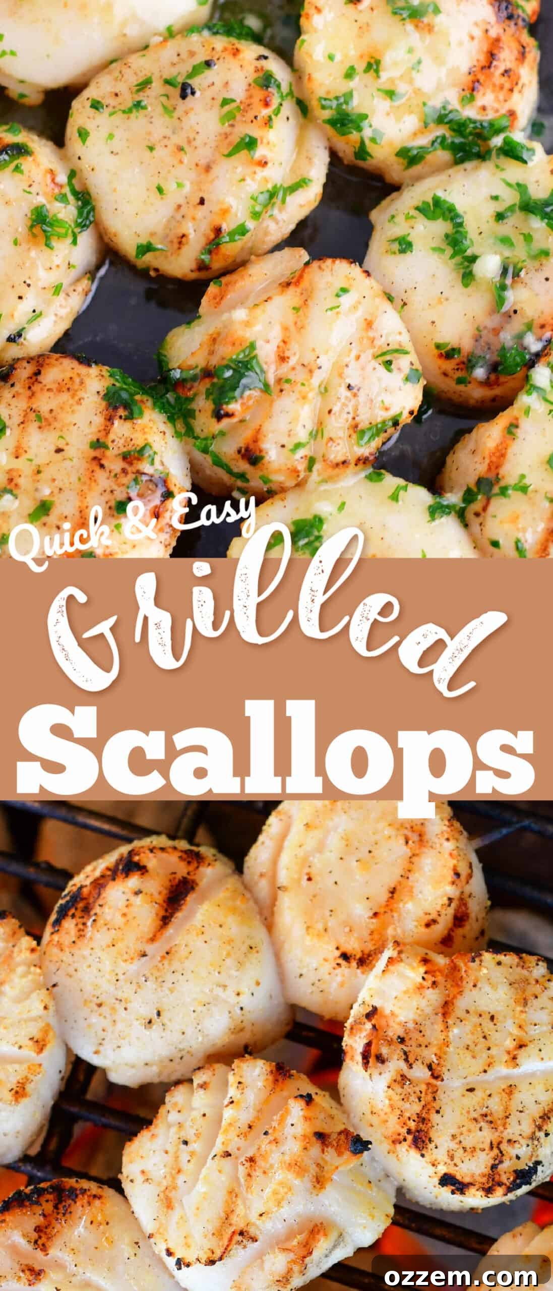 Collage of two images featuring grilled scallops: a close-up on a plate with butter and herbs, and another showcasing them grilling over charcoal, with the title 'How To Grill Scallops' in the middle.