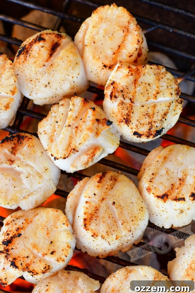Raw seasoned scallops threaded onto wooden skewers, ready for grilling over hot charcoal.