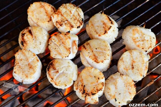 Close-up view of scallops grilling on wooden skewers over hot charcoal, showing a slight char.