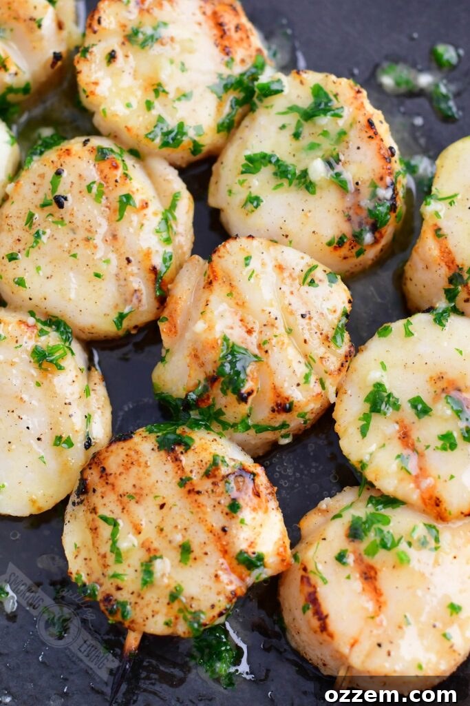 A plate of grilled scallops, generously brushed with herb butter, garnished with fresh parsley.