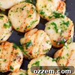 Close-up of grilled scallops on the plate with butter and herbs