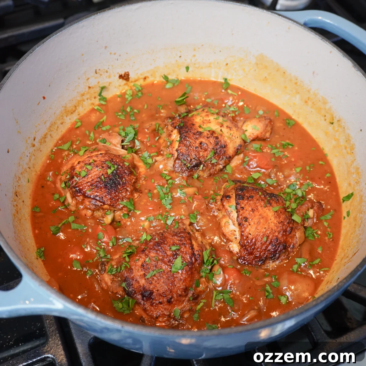 Braised chicken in mushroom and tomato sauce in a dutch oven, ready to serve.