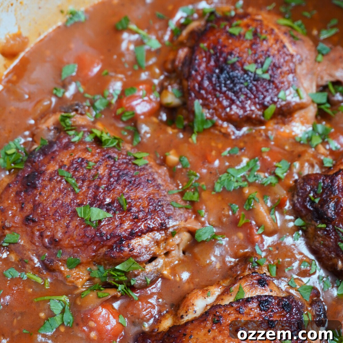 Close-up of braised chicken in mushroom and tomato sauce, garnished with fresh parsley.
