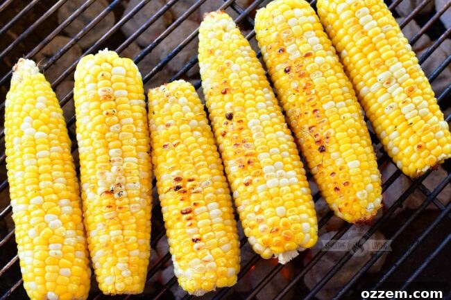 closeup of grilled corn on the cob on a grill, showing light char marks