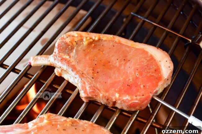 A pork chop on the grill with a leave-in thermometer inserted, showing the cooking process.