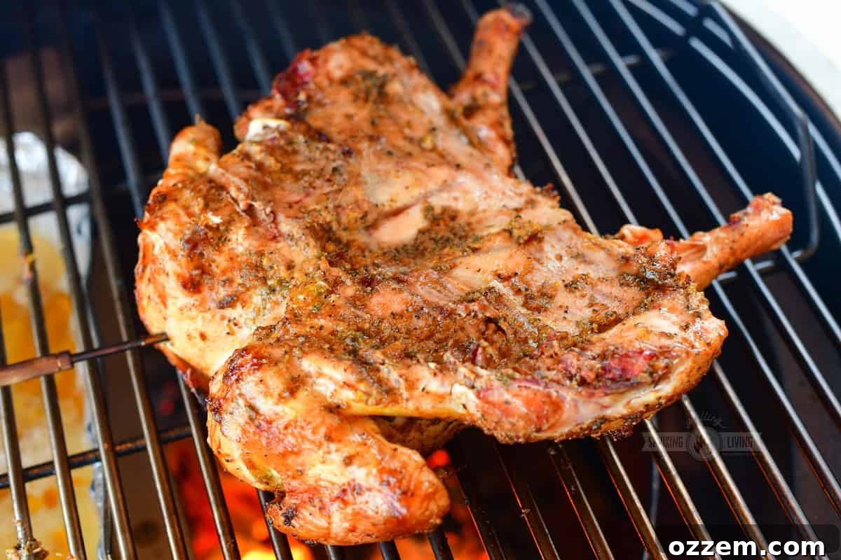 underside of spatchcock chicken on the grill, showing the even cook