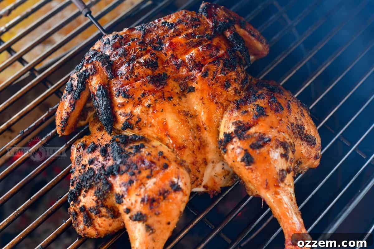 grilled spatchcock chicken on the grill grate, showing the crispy, golden skin