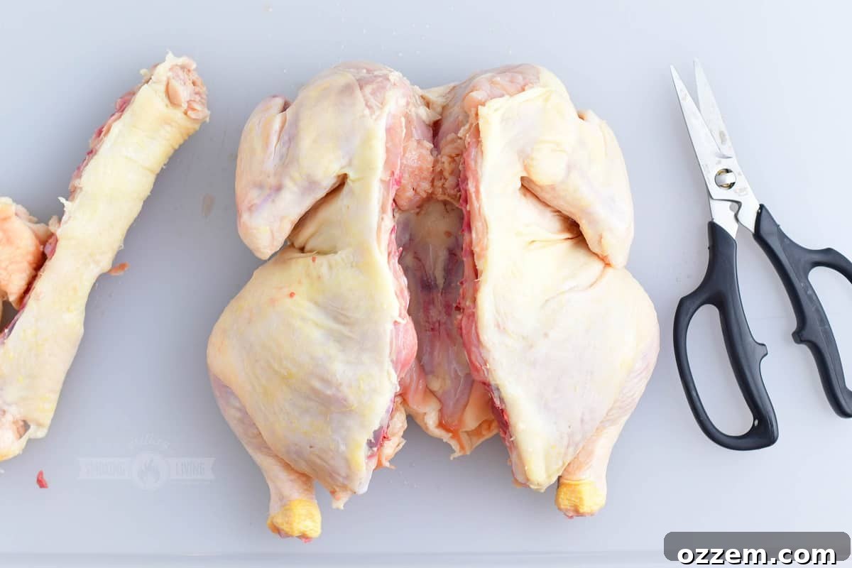 whole chicken with backbone carefully cut out, showcasing the butterflied state