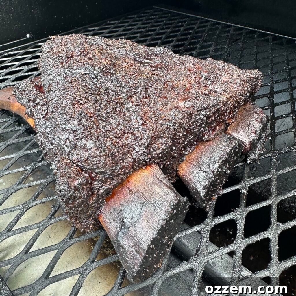 best smoked beef ribs.