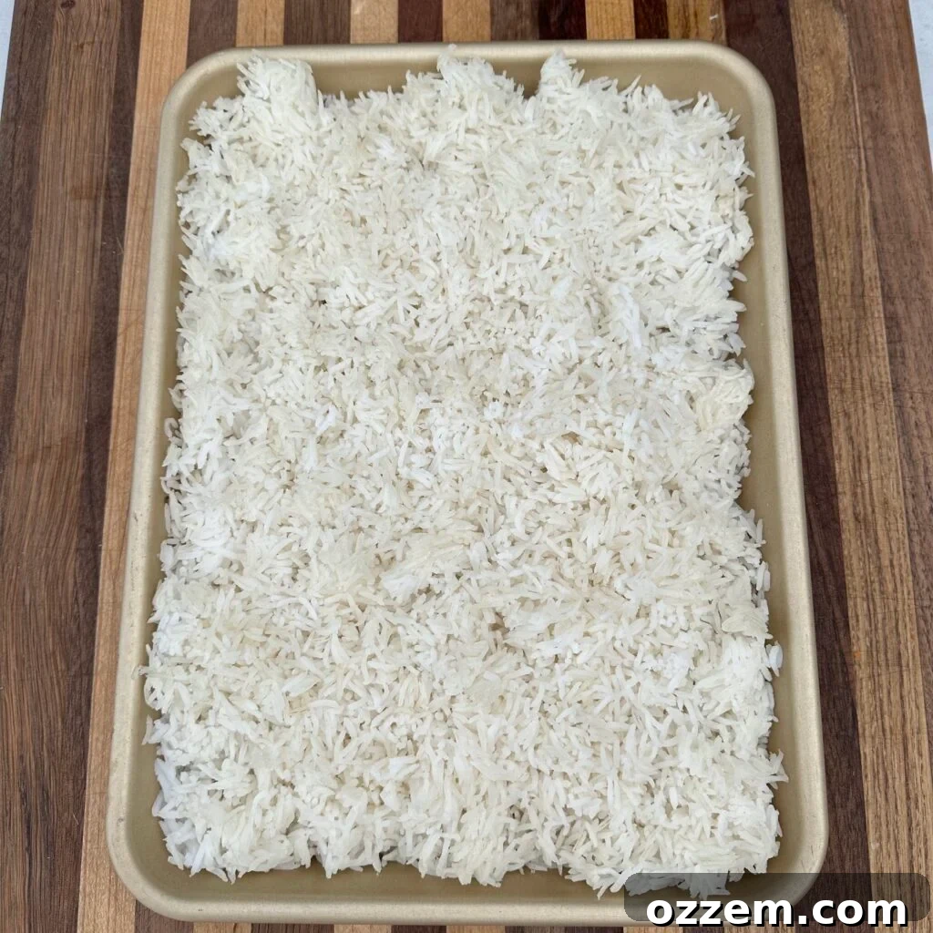 Cooked rice spread out on a large sheet pan to cool and dry.