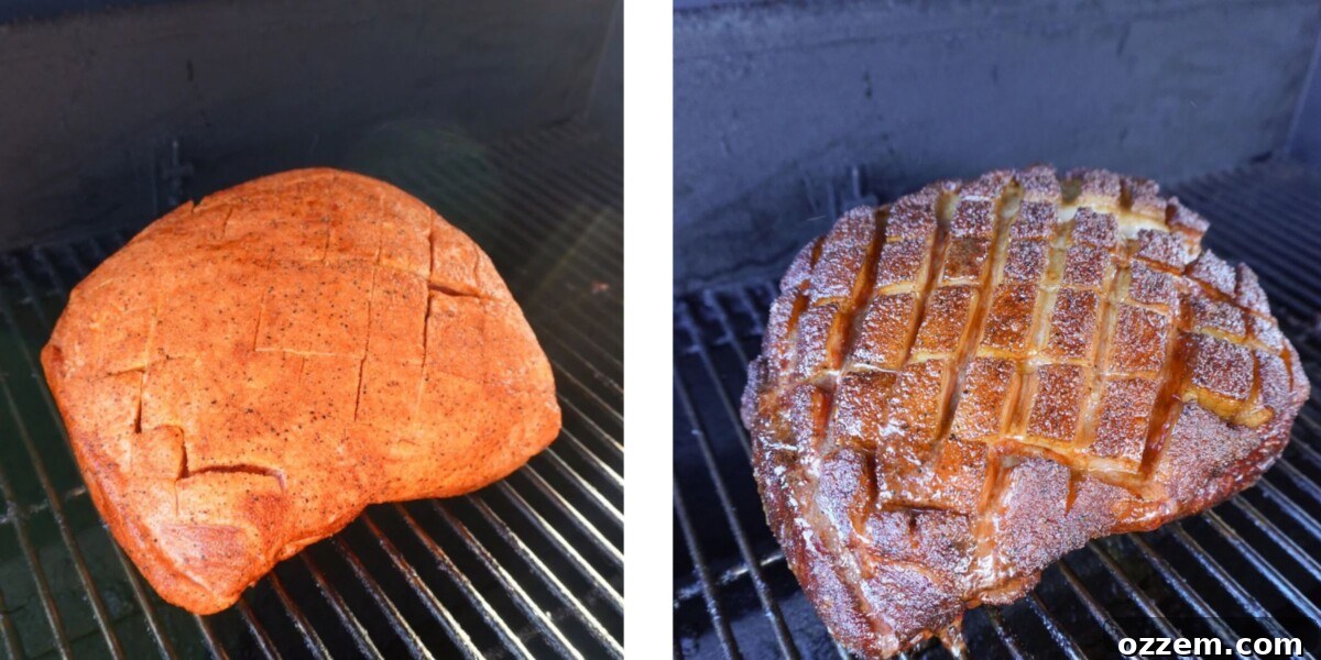 Southern Gold Smoked Pulled Pork 6 A visual progression of a pork shoulder being smoked, from raw and seasoned to fully cooked with a dark, rich bark.