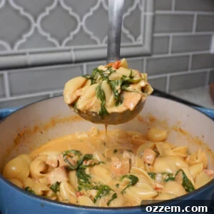 Easy Marry Me Chicken Soup on a ladle, ready to serve.