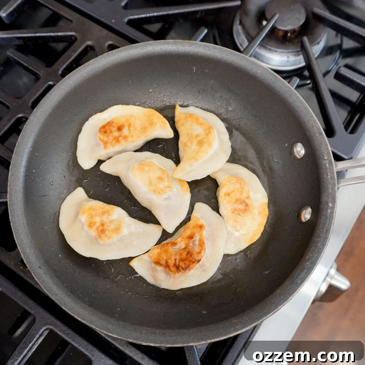 BBQ Pulled Pork Pierogi 13 Pan-seared pulled pork pierogi with a golden crust in a skillet.