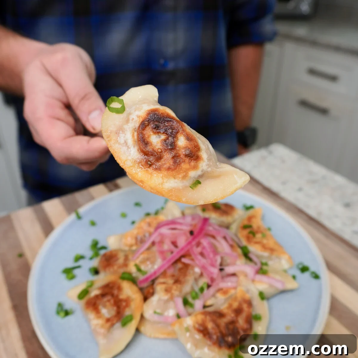 BBQ Pulled Pork Pierogi 14 A hand holding a single pulled pork pierogi, showing its golden-brown crust and filling up close.