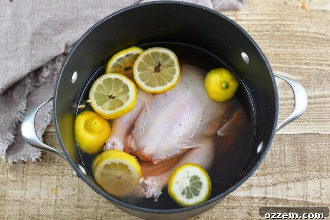Whole chicken brining in a pot with lemon slices.
