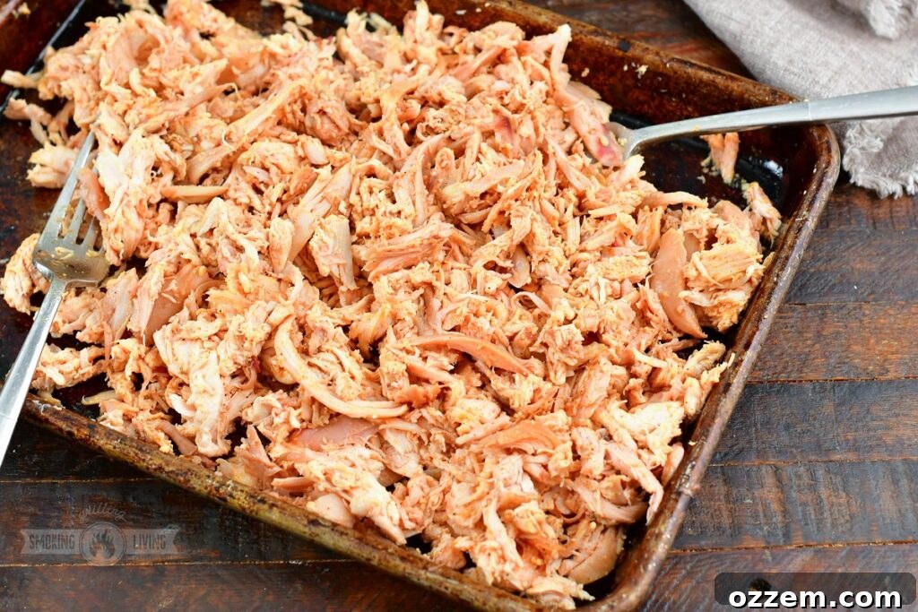Close-up of freshly pulled smoked chicken in a sheet pan.