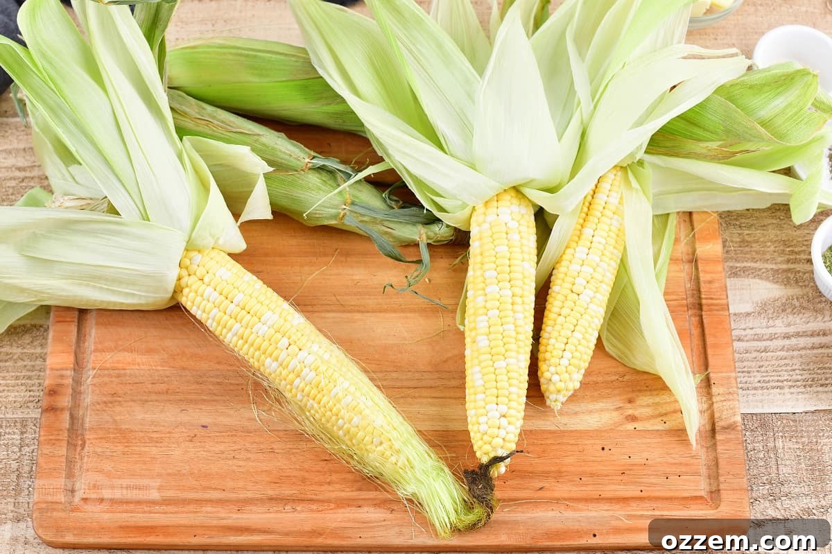 Corn on the cob with husks carefully pulled back, revealing fresh kernels