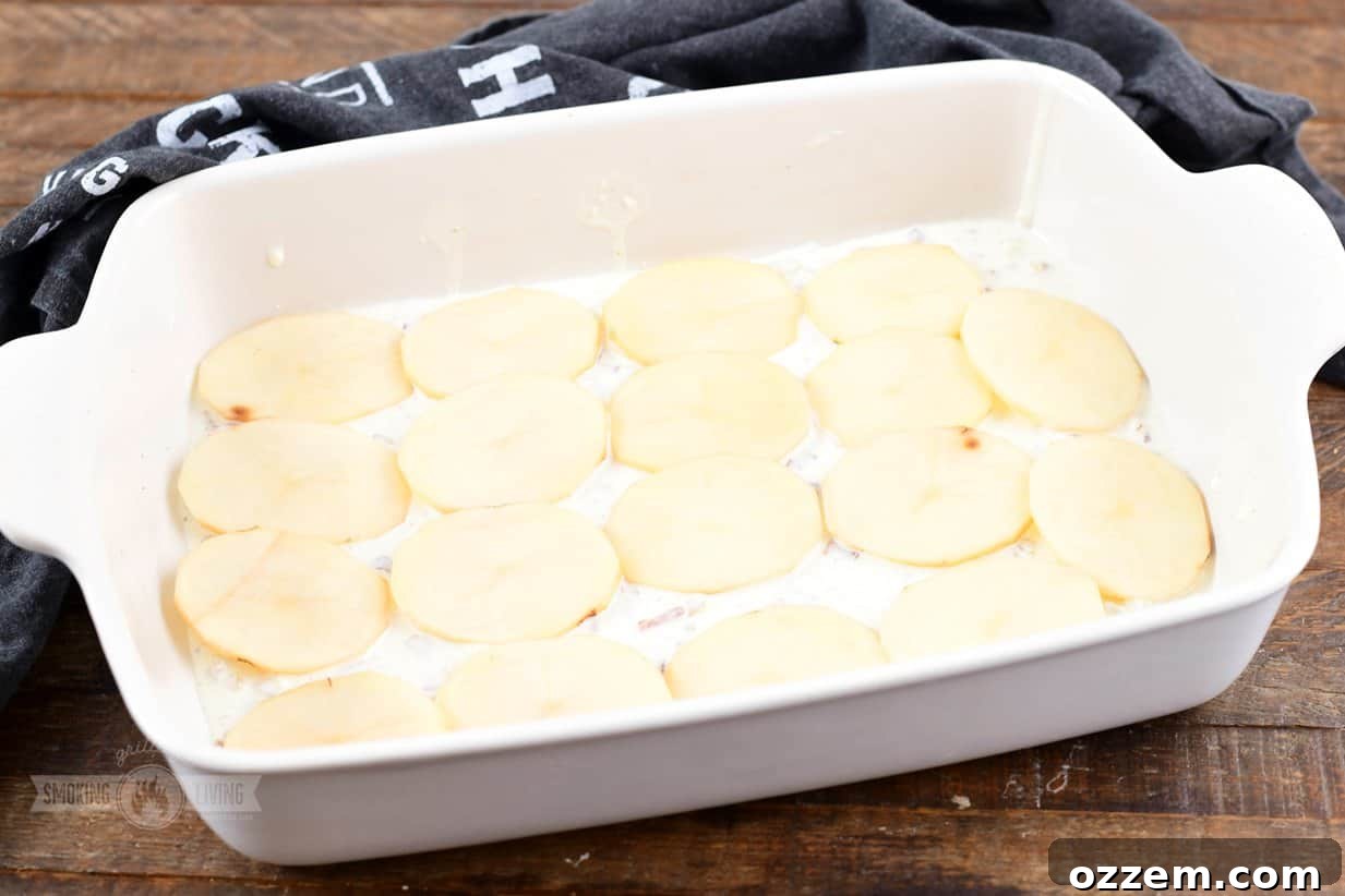 Decadent Smoked Scalloped Potatoes 8 The first layer of thinly sliced potatoes, overlapping slightly, covered with cheese and sauce