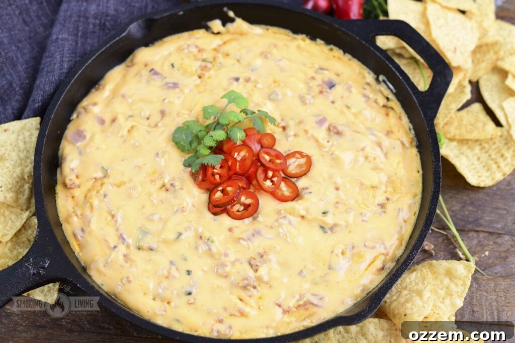 Campfire Queso Dip 16 A mouth-watering image of Smoked Queso Dip, perfectly golden and bubbly, ready to be served with tortilla chips.