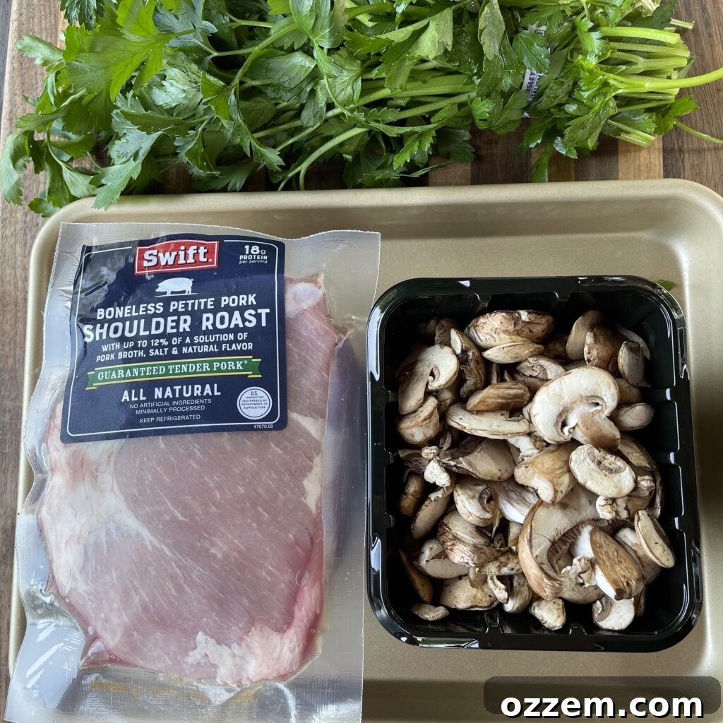 Raw petite shoulder pork roast, tied with butcher's twine