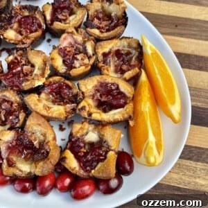 A close-up of a golden-brown grilled brie bite with melted cheese and cranberry sauce, ready to be served.