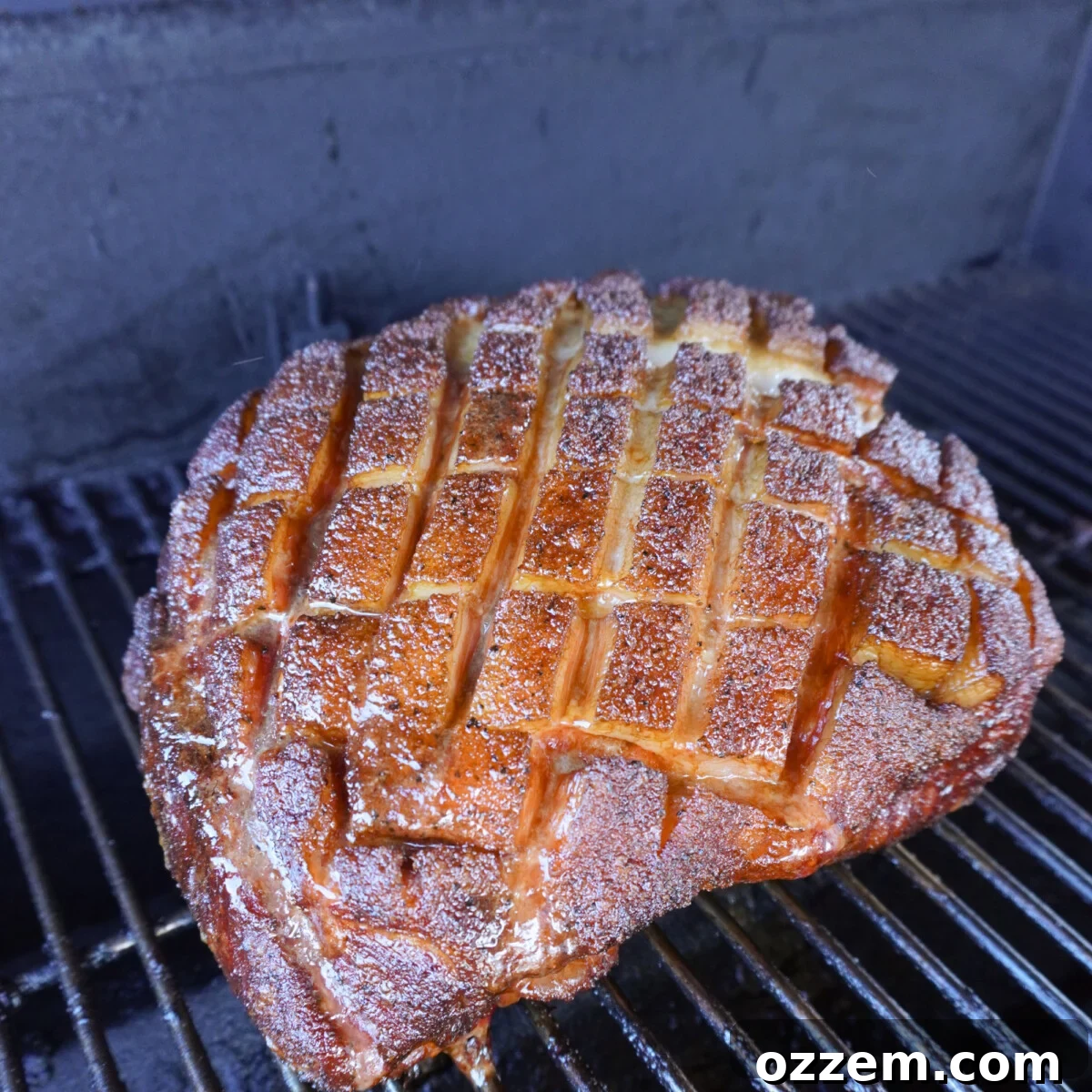 Timeless Pulled Pork Perfection 9 Smoked classic pulled pork after the first low and slow cooking step, showing a well-formed bark.