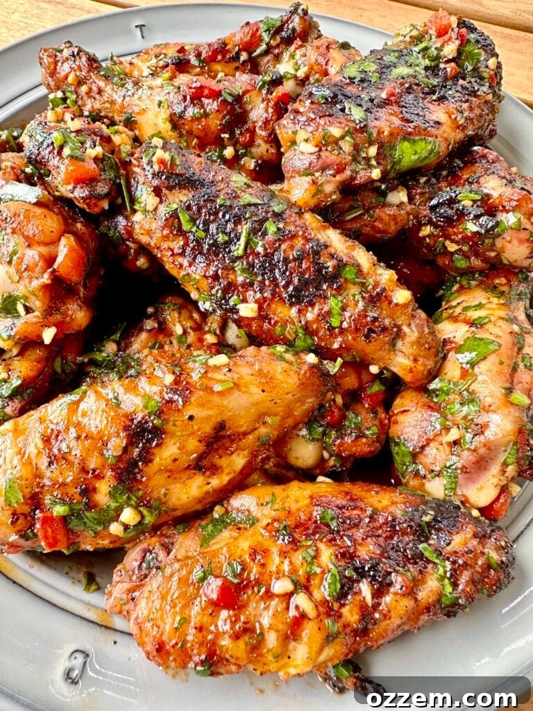 Crispy grilled chicken wings generously coated in homemade red chimichurri sauce.