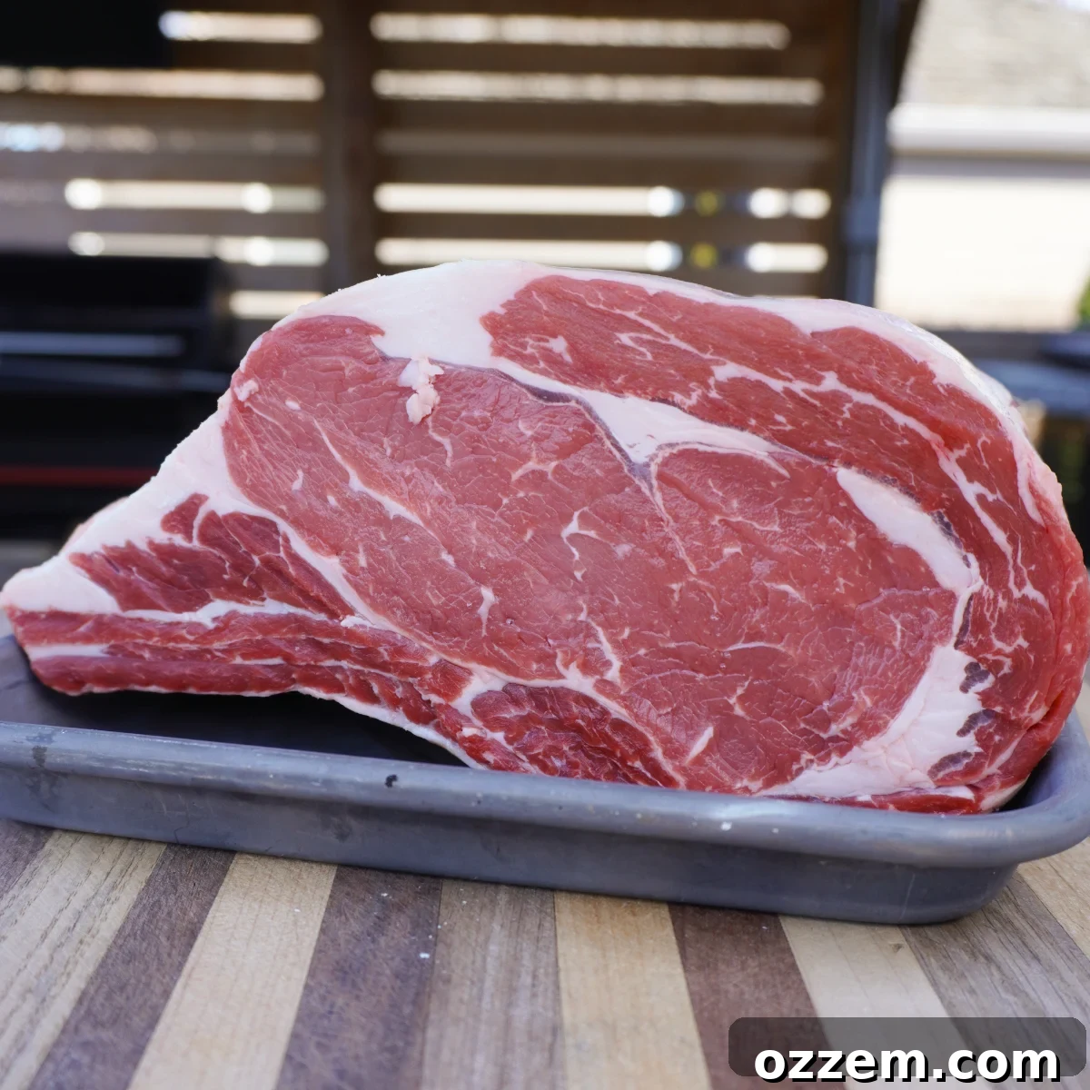 Raw prime rib on a sheet pan before trimming, showcasing its initial appearance.