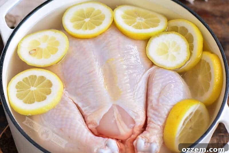 raw chicken in the pot with brine and surrounded by lemon slices