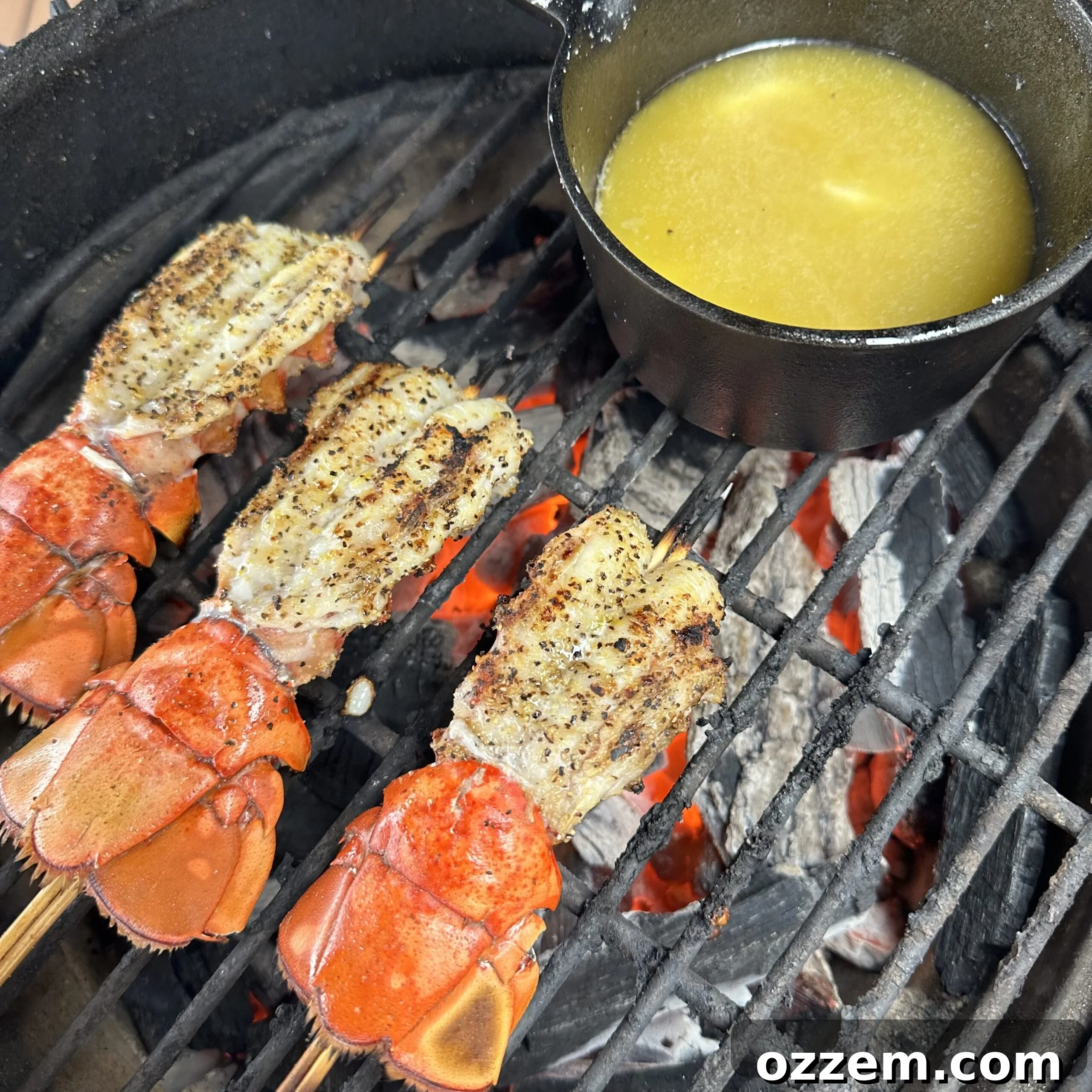Beautifully grilled lobster skewers on the grill, ready to be removed and served.