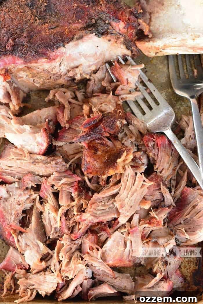 Pulled Pork Perfection 2 Close-up of perfectly pulled pork with two forks on a metal sheet pan, ready to serve.