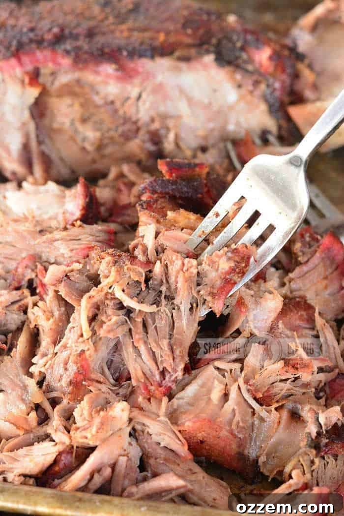 Pulled Pork Perfection 8 Close-up of tender pulled pork on a fork, showing its shredded texture and rich color.