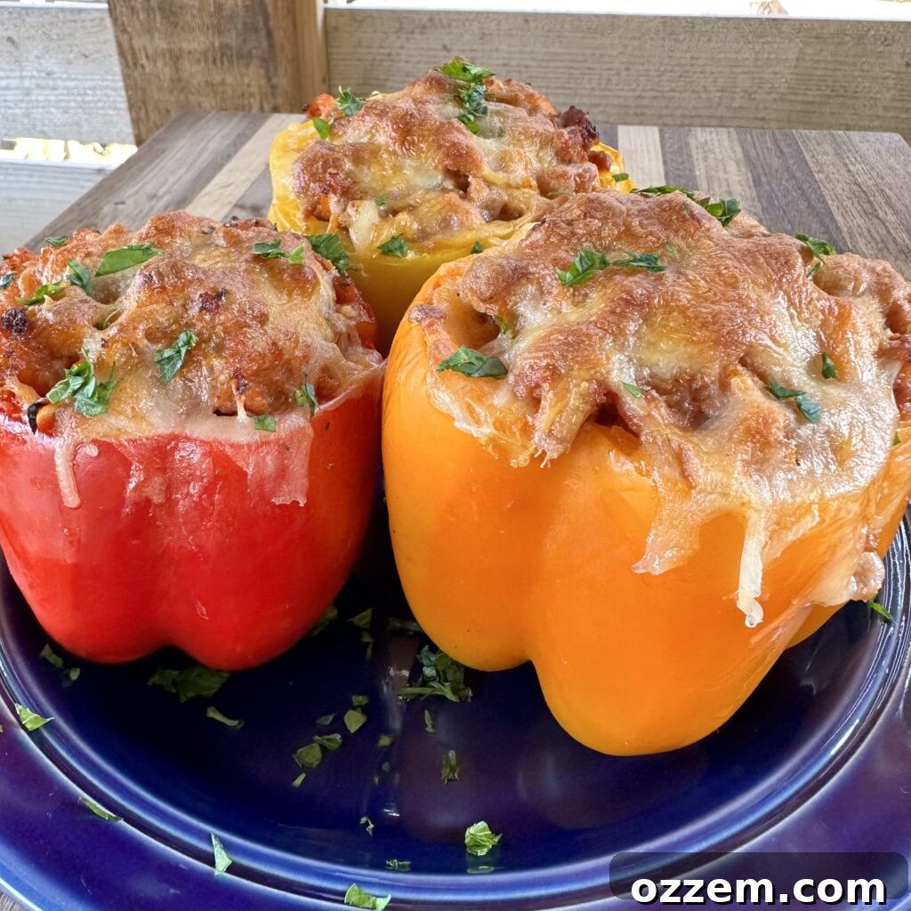 Delicious grilled stuffed bell peppers ready to serve.