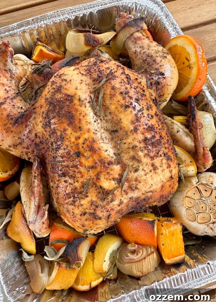 A perfectly roasted citrus chicken surrounded by vibrant roasted vegetables in a sturdy roasting pan, ready to be served for a delicious family meal.