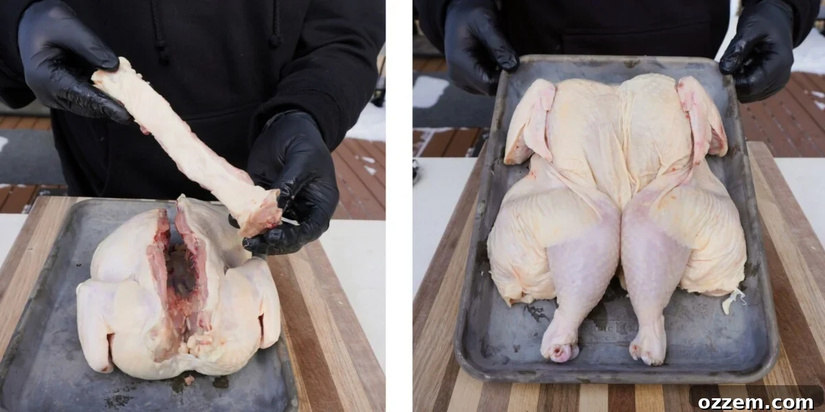 An illustration demonstrating the spatchcocking technique on a whole chicken.
