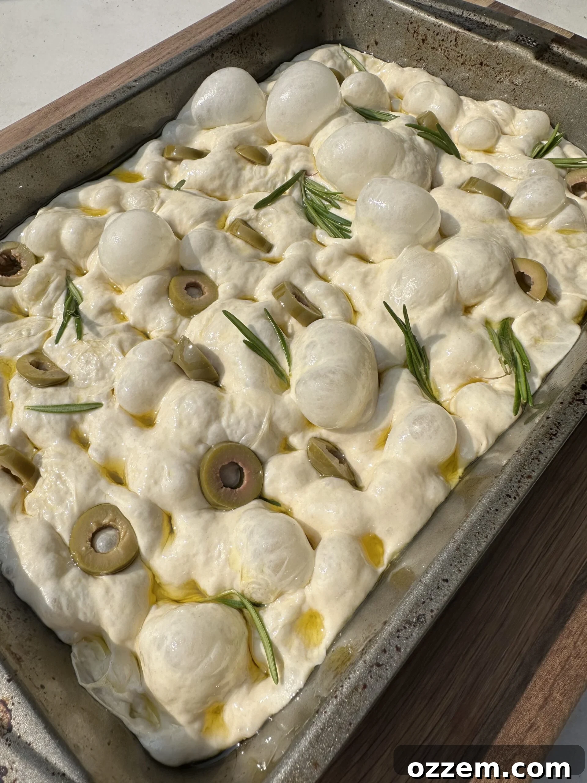 Unbaked focaccia dough in a pan, dimpled and topped with fresh rosemary and sliced green olives, drizzled with olive oil.