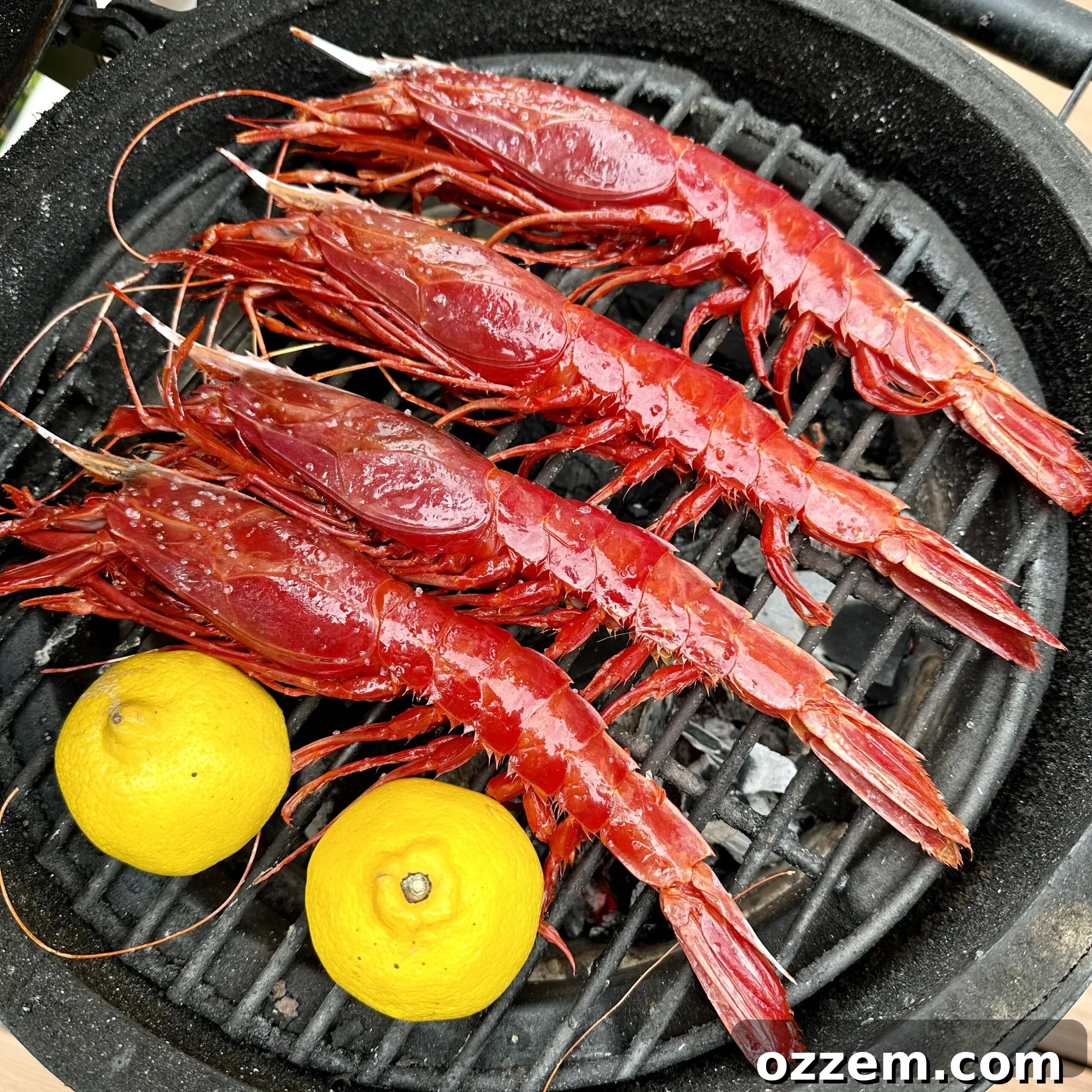 Large Carabinero shrimp cooking on a hot grill with grill marks.
