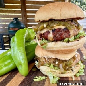 Hatch Chile Burgers on a bun with salsa and cheese.