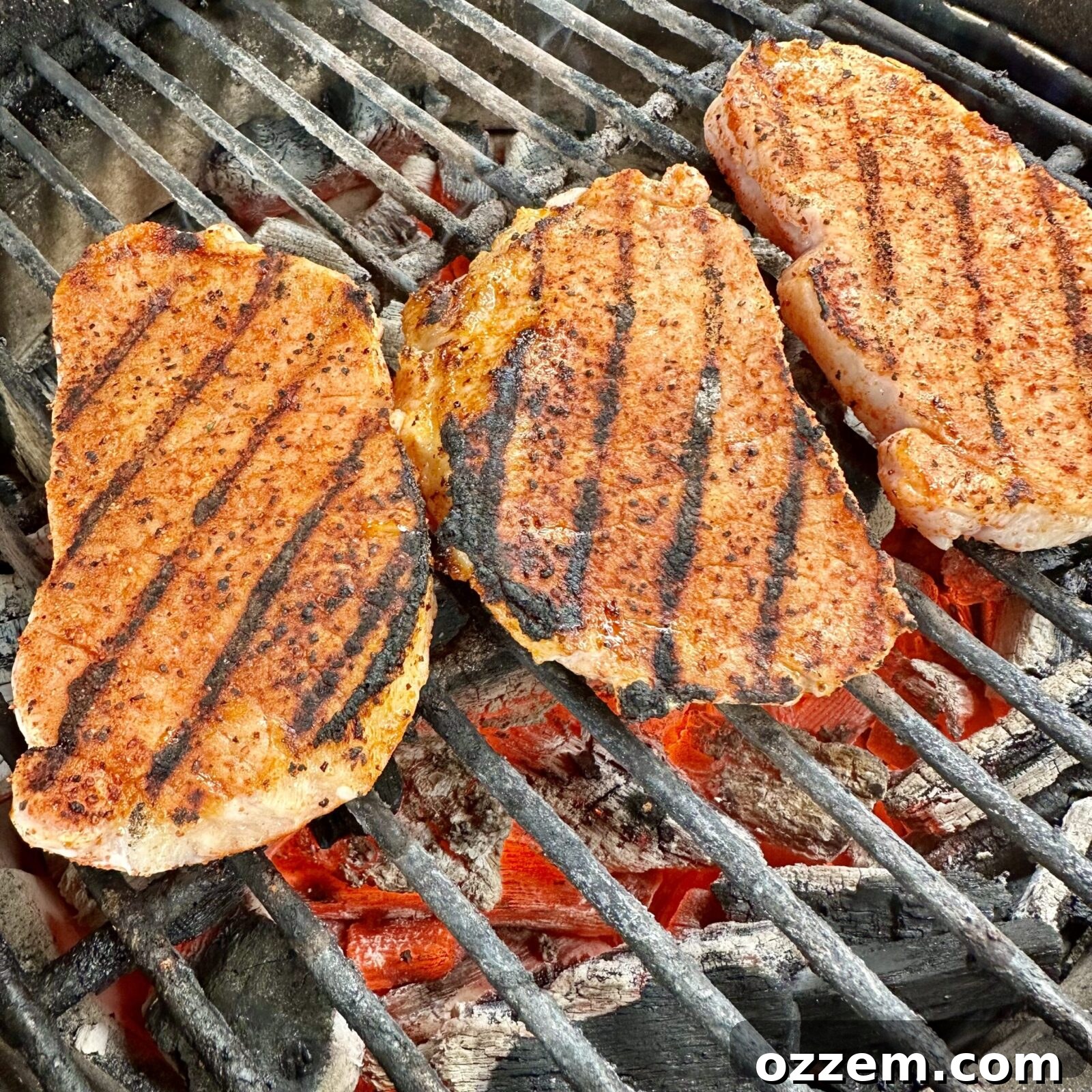Juicy grilled pork chops with perfect sear marks.