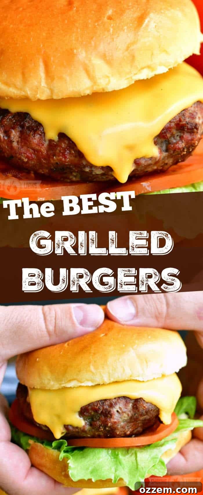 A collage of two images, featuring a close-up of a cheeseburger on a bun and a hand holding a cheeseburger, with a title in the middle, visually summarizing the article's focus.