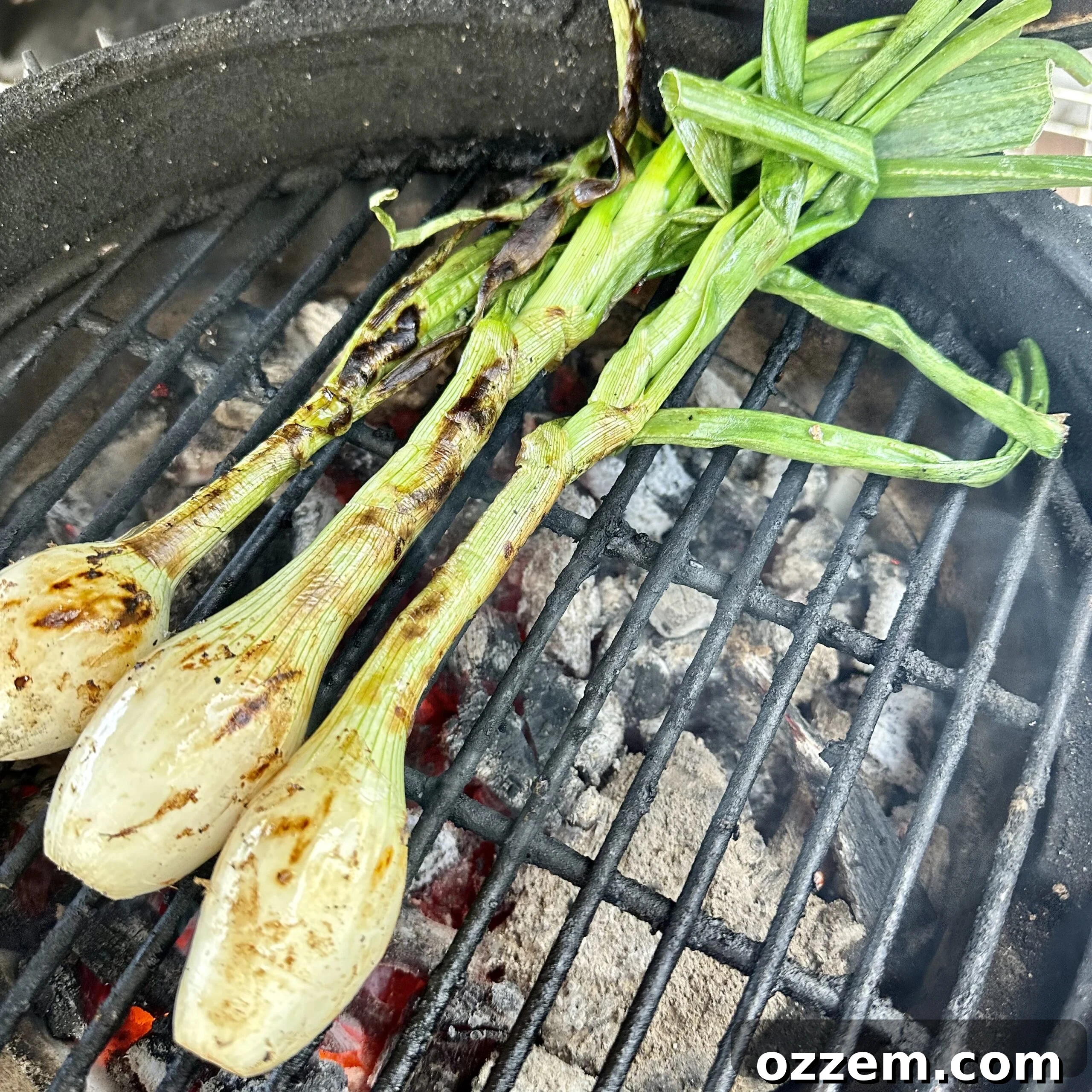 Grilled green onions with a slight char